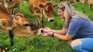 Libby Ward holds hands out to cows nose at Stonyfield’s Dairy Farms